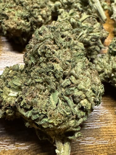 Customer photo review of Gastro Bomb - Bulk - Indica