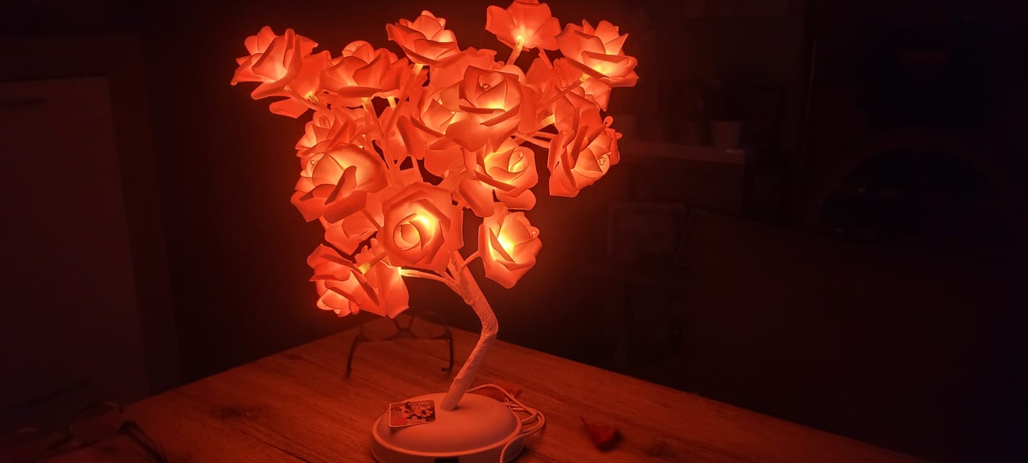 Customer photo review of Bäumlein® - mit 32 LED Rosen