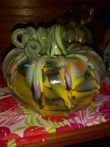 Customer photo review of Daily Pumpkin 2225 Squat