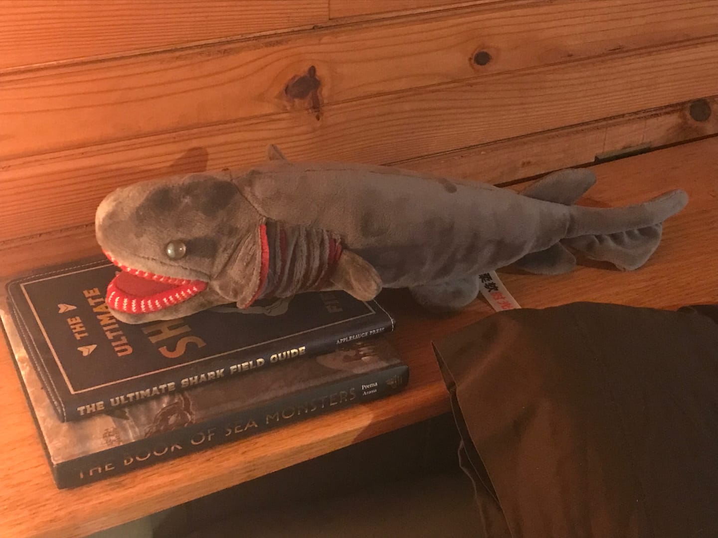 Customer photo review of Frilled Shark Soft Stuffed Plush Toy