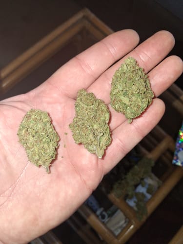 Customer photo review of Blue Dream - 28 Grams - Sativa