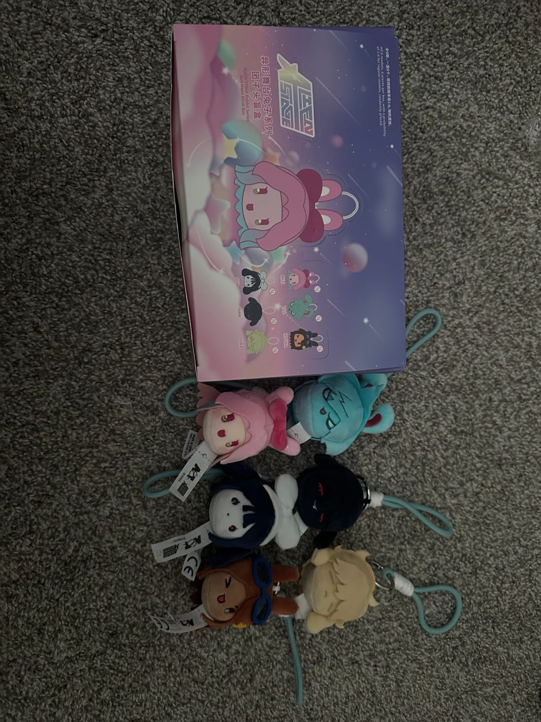 Customer photo review of Alien Stage Rabbit Series Bun Head Blind Box