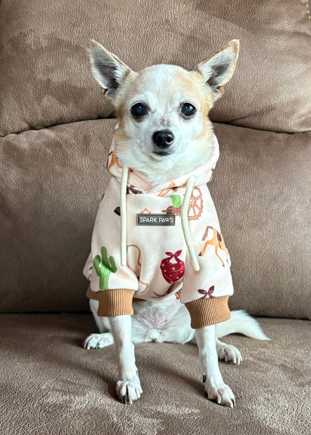 Customer photo review of Dog Hoodie Prints