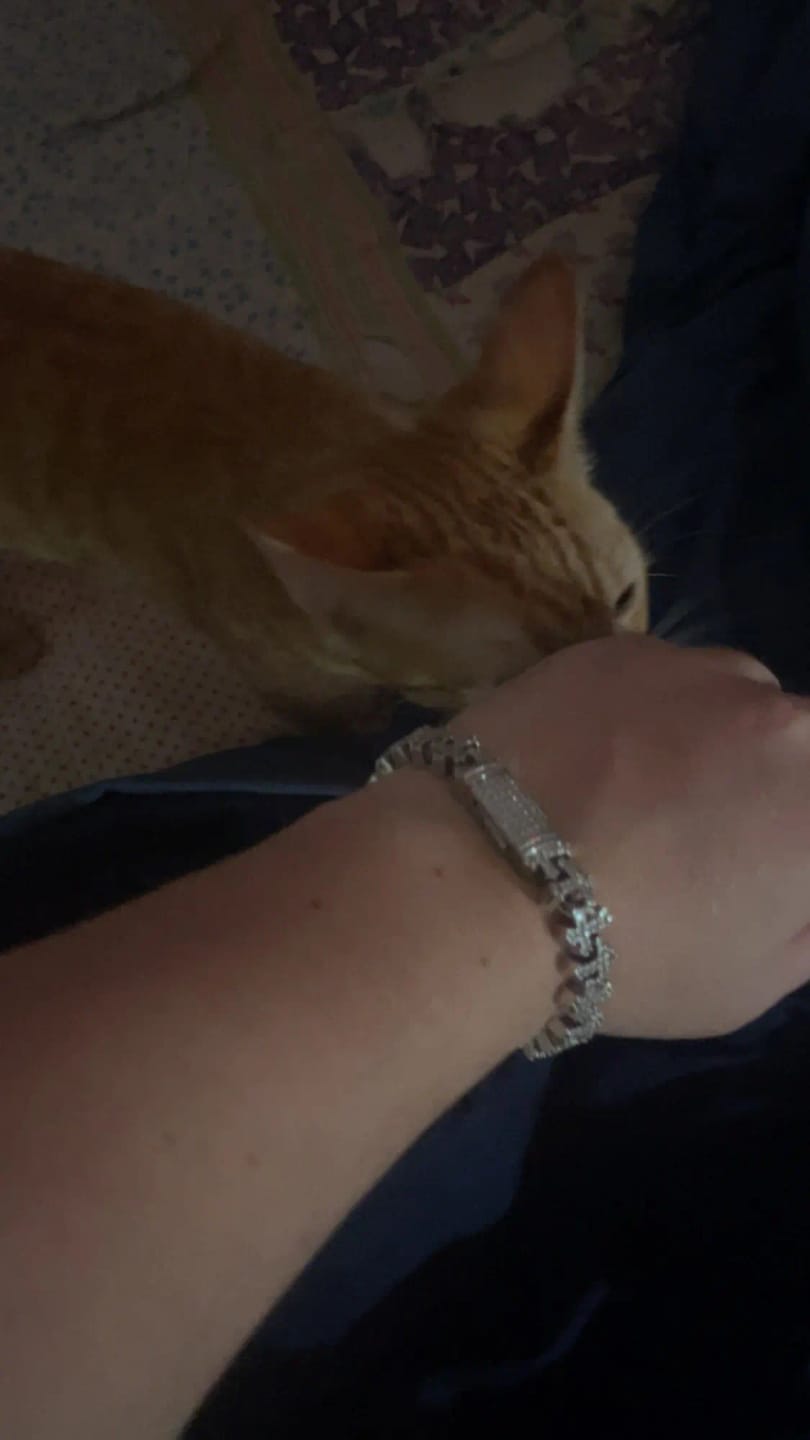 Customer photo review of ANCHORED CROSS LINK BRACELET