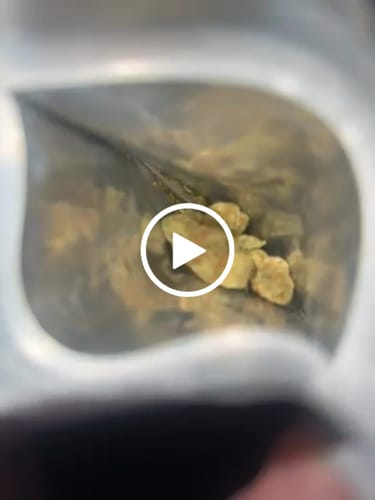 Customer video review of Purple Push Pop -THCa Flower
