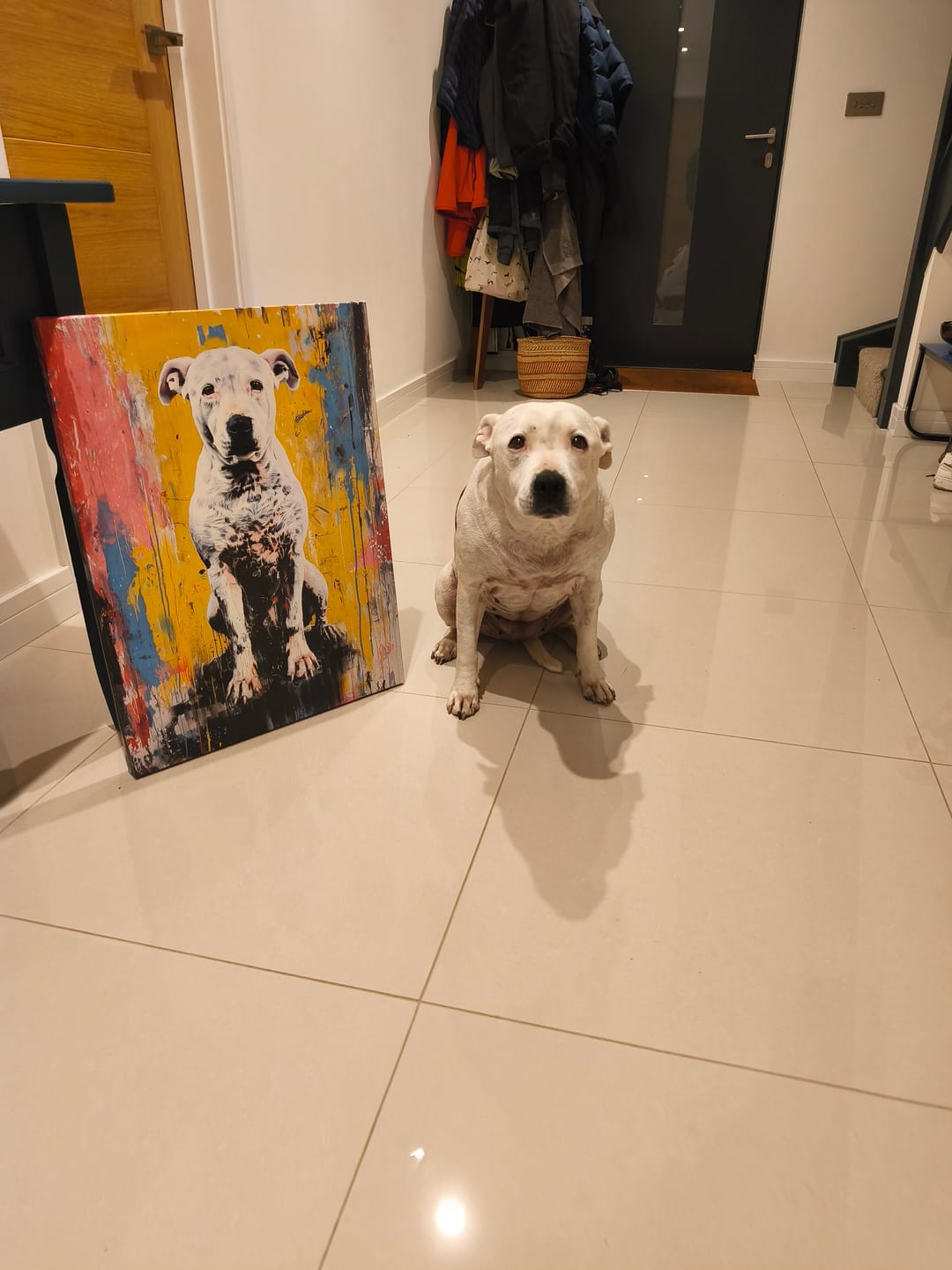 Customer photo review of Abstract Masterpiece - Custom Pet Portrait