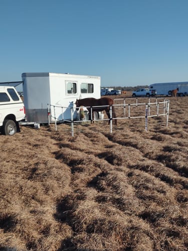 Customer photo review of Ready Made Portable Electric Horse Corral Fencing: (Electric EconoLine 10+2=12 Panels; 2 Rails)