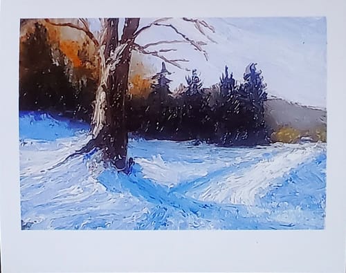 Customer photo review of 3x2.5 Vertical Mini Prints