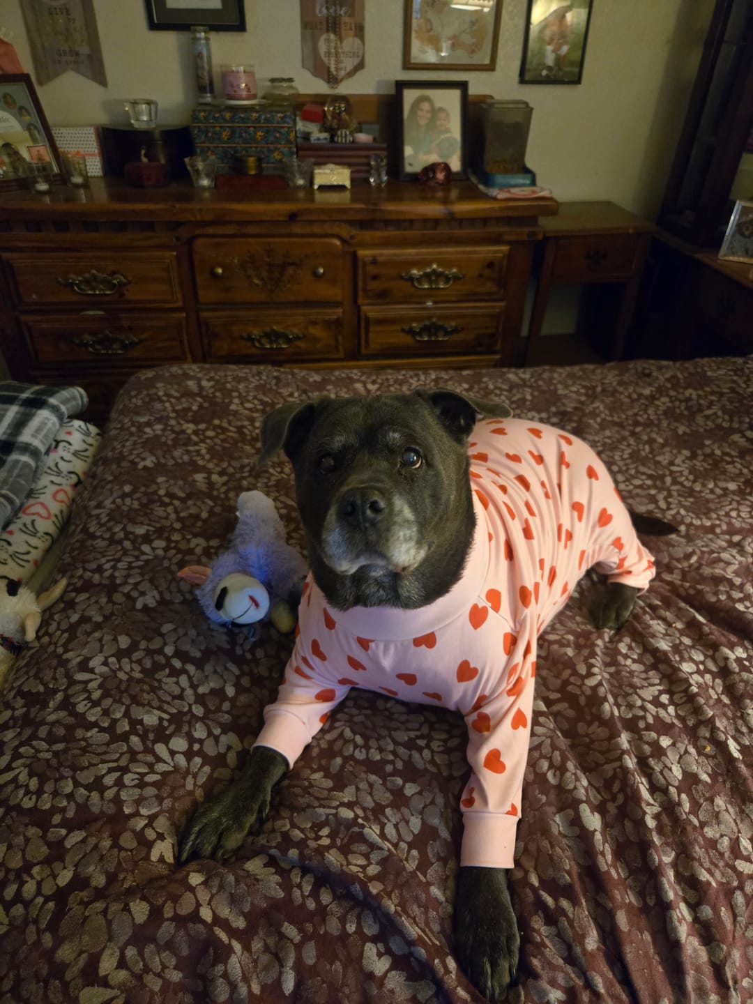 Customer photo review of Dog Pajama - Pink Hearts