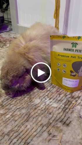 Customer video review of Friday Favourites 15pc