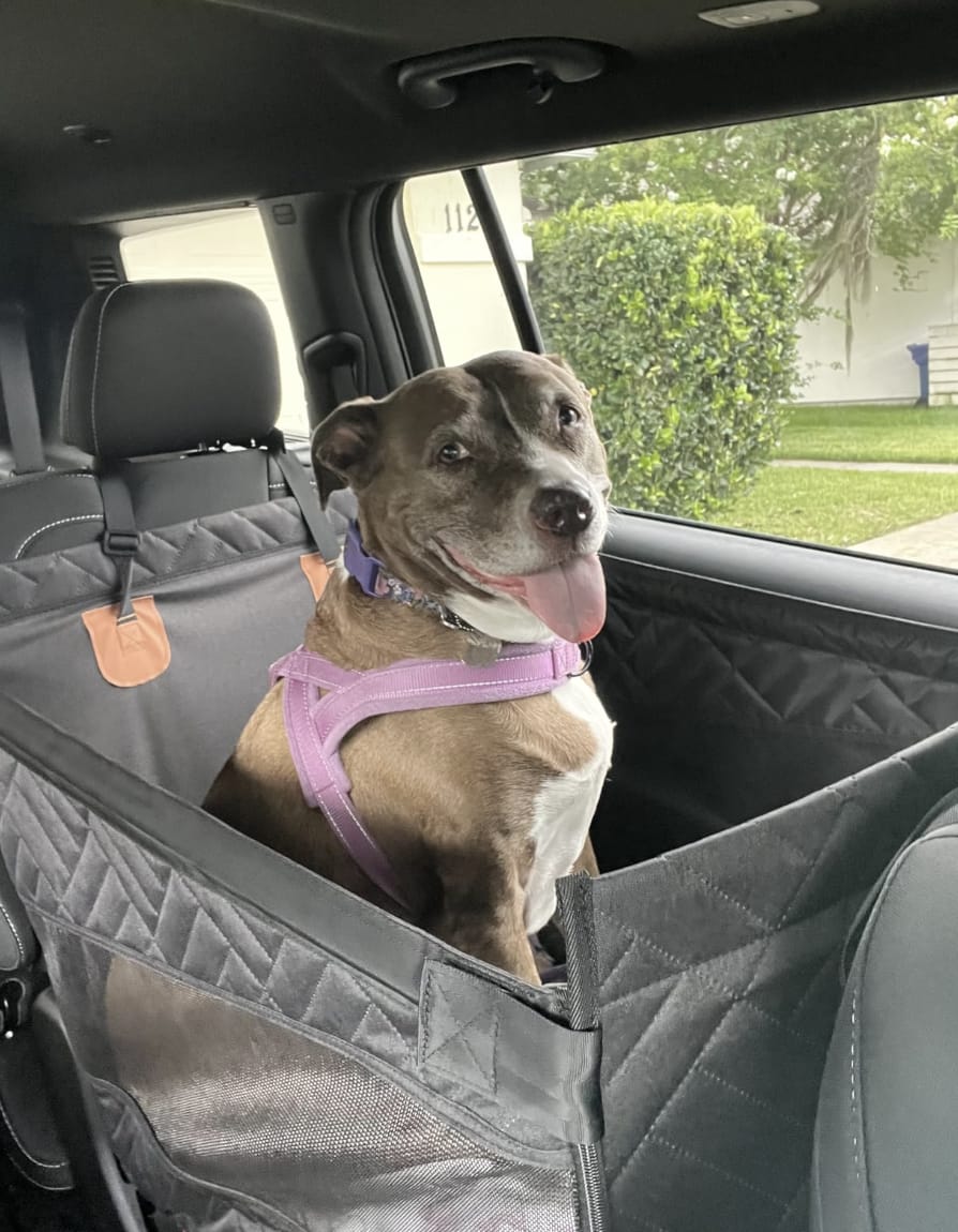 Customer photo review of Marlo&Co™ Single Travel Seat