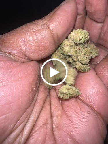 Customer video review of Granddaddy Purple - 14 Grams - Indica