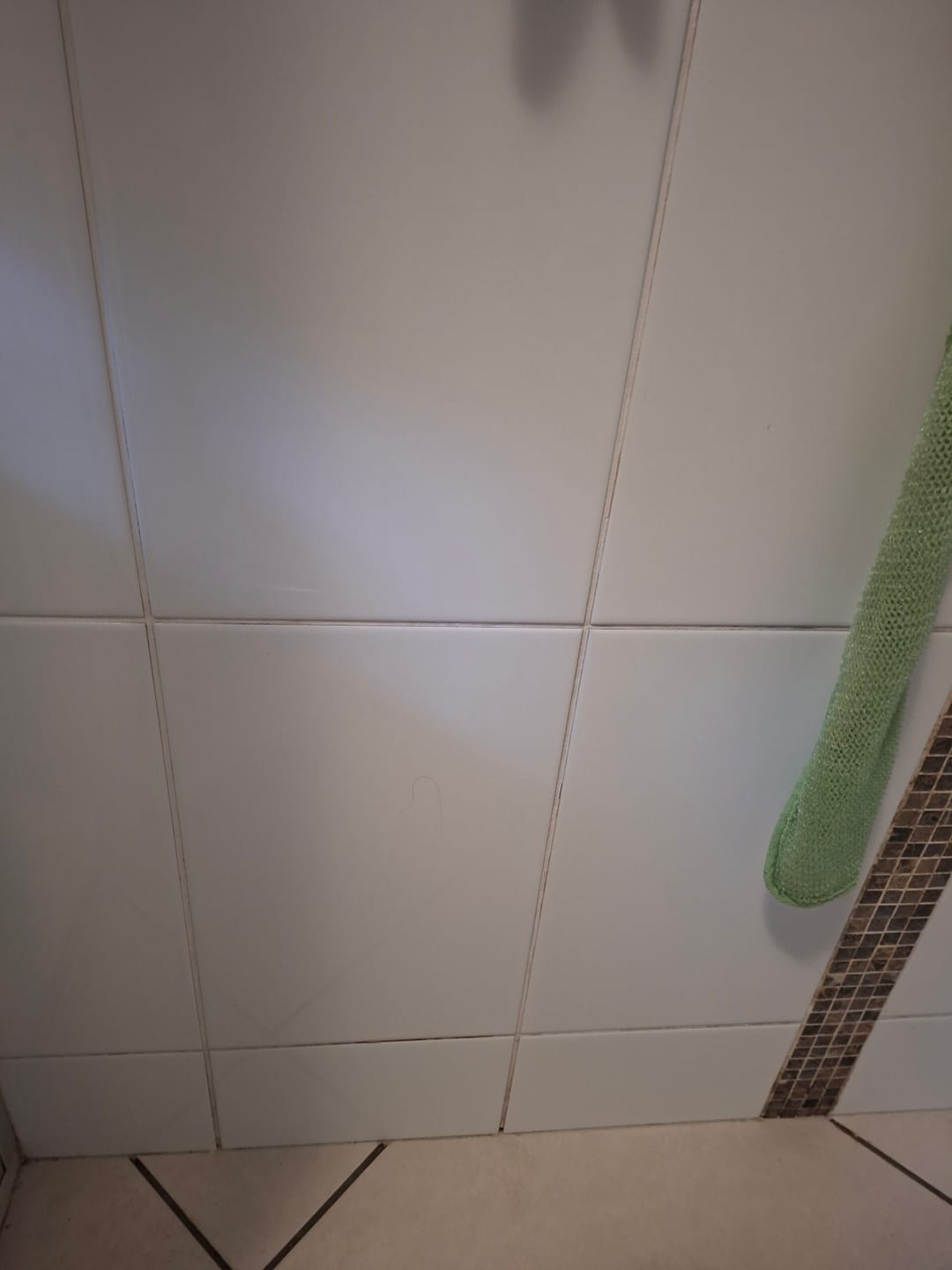 Customer photo review of GLASSGUARD® Miracle Mould Removal Gel