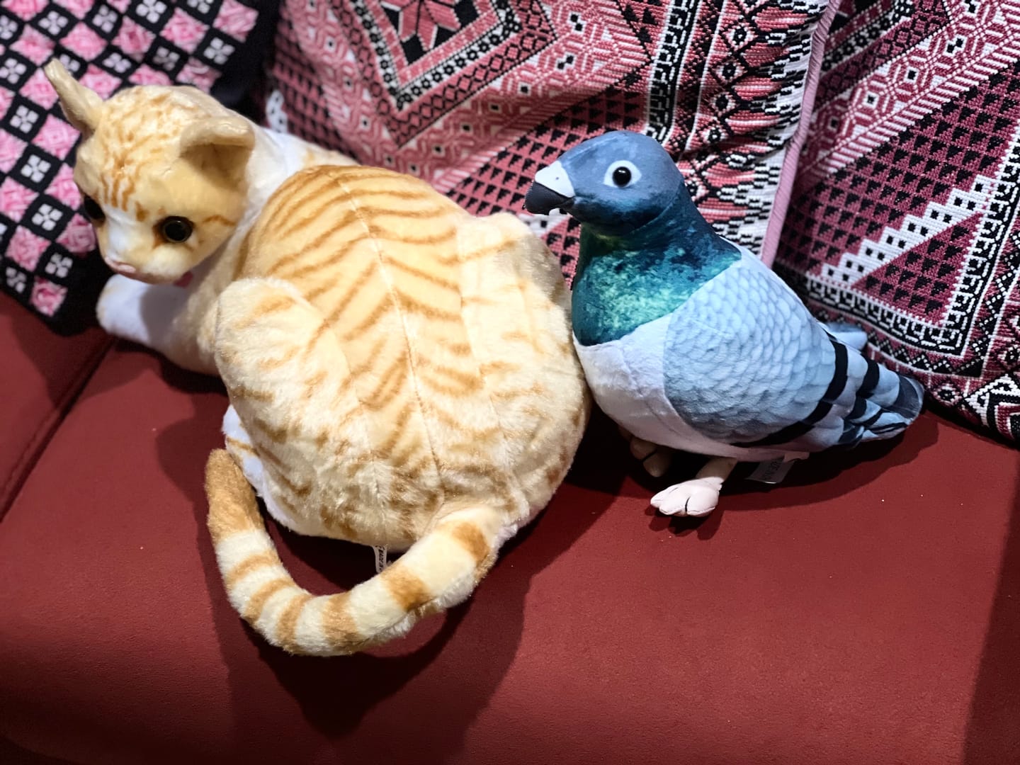 Customer photo review of Common Pigeon Bird Soft Stuffed Plush Toy