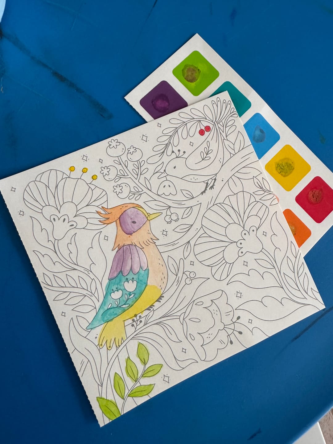 Customer photo review of Watercolor Painting: Fairy Dreams 5Yrs+