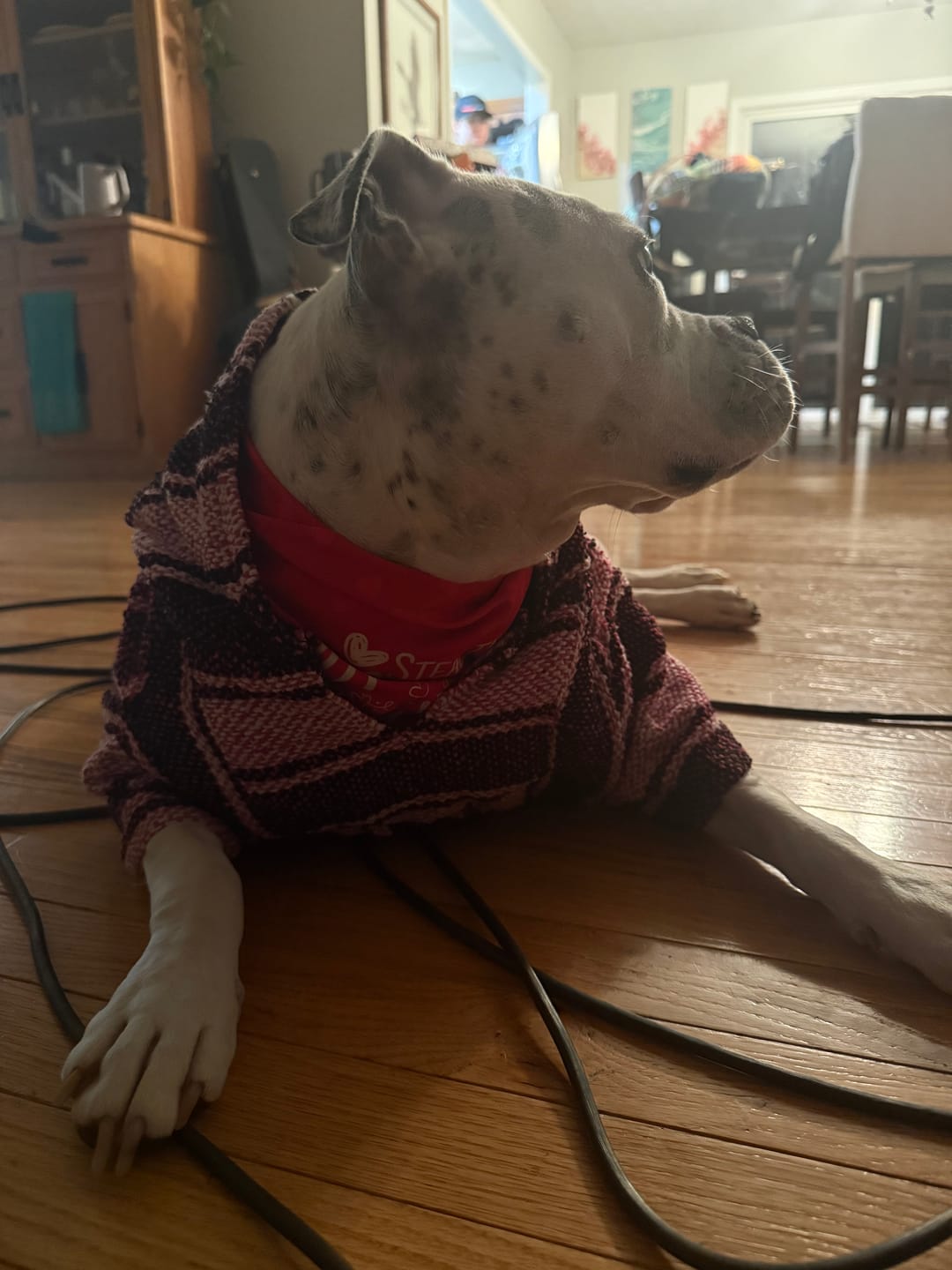 Customer photo review of Playa Poncho – Mystery Color (Bella, Charlie, or Fun Edition)