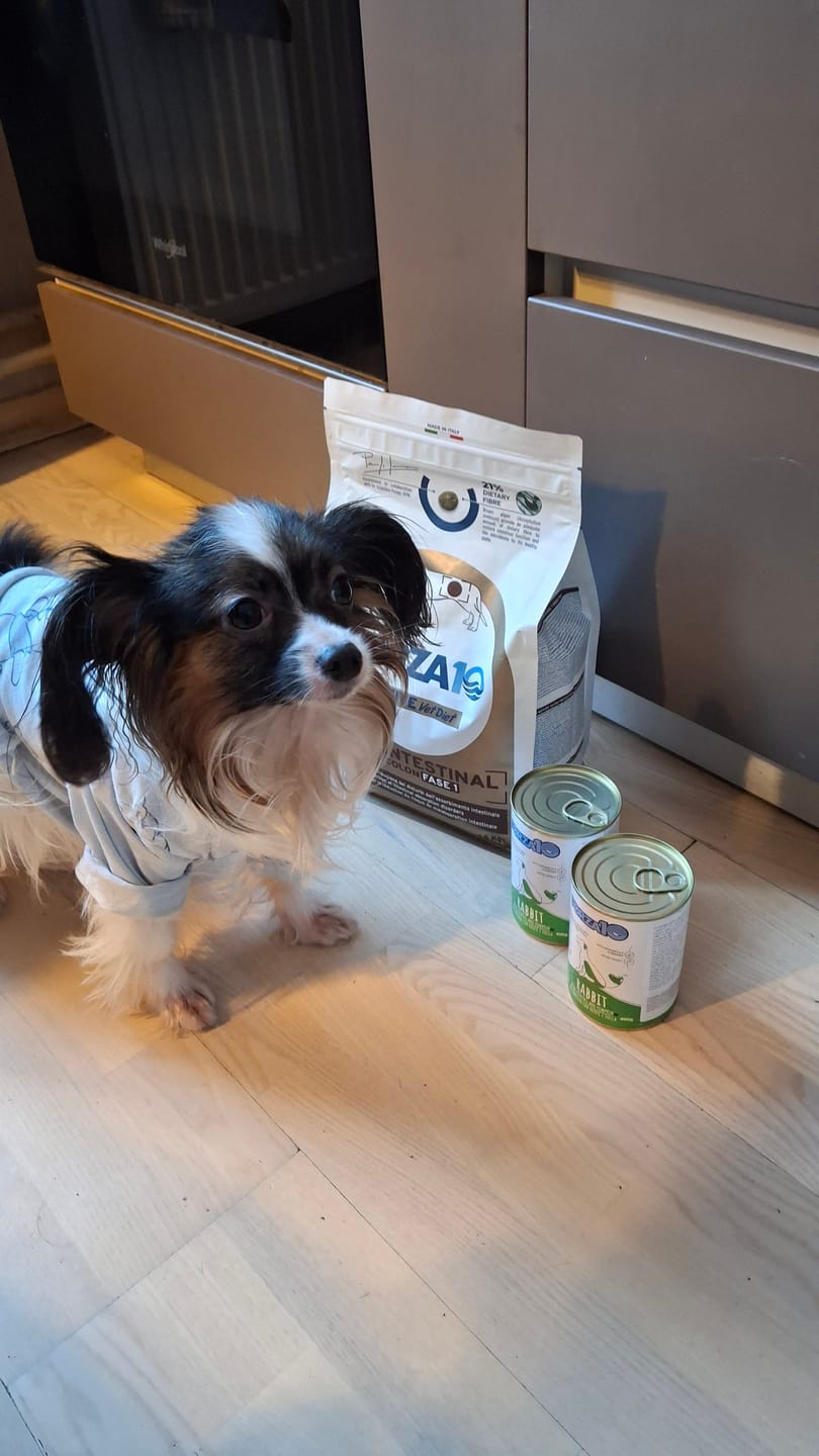 Customer photo review of Active VetDiet Intestinal suņiem