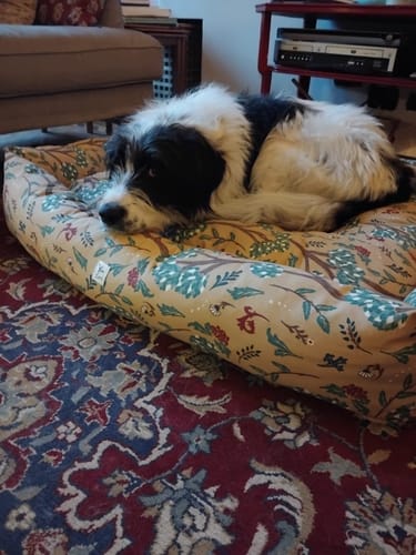 Customer photo review of Divanetto Cotone Panama Botanic