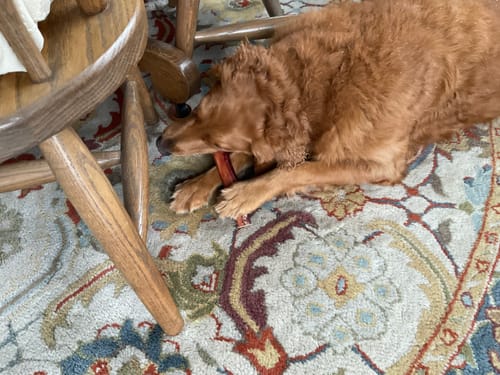 Customer photo review of PawProtect