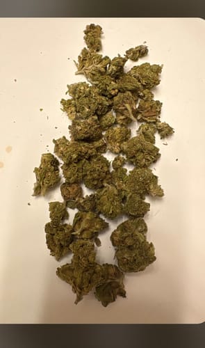Customer photo review of Triangle kush - Indica