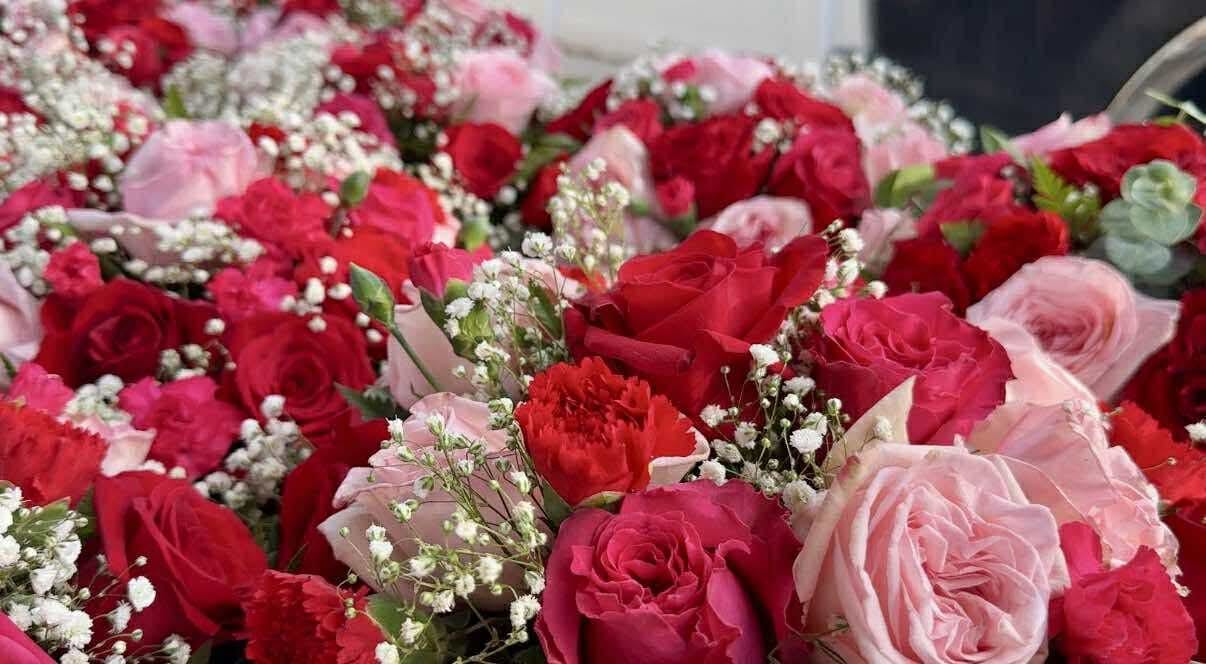 Customer photo review of Hot Princess Pink Rose