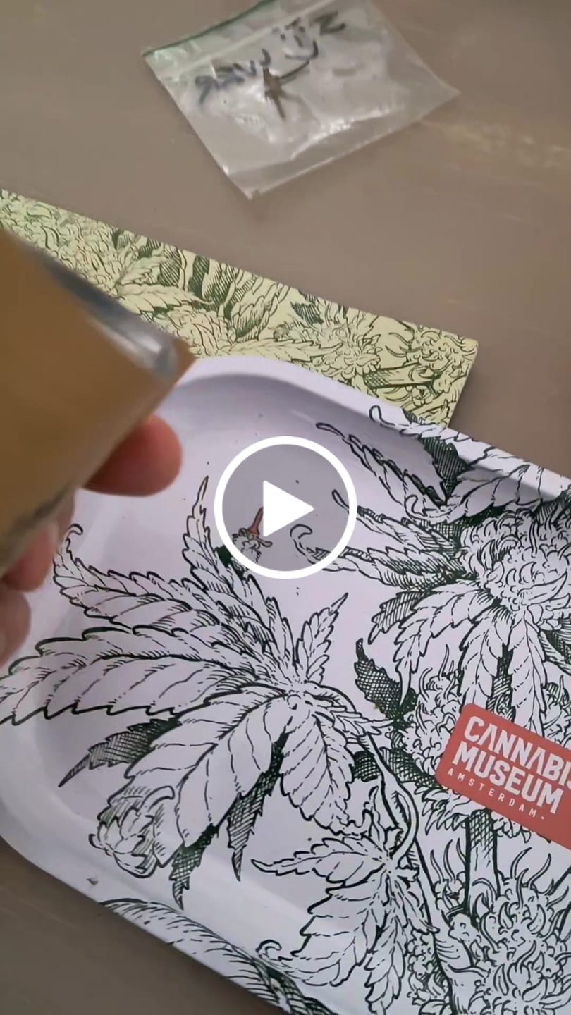 Customer video review of GELATO X 40%