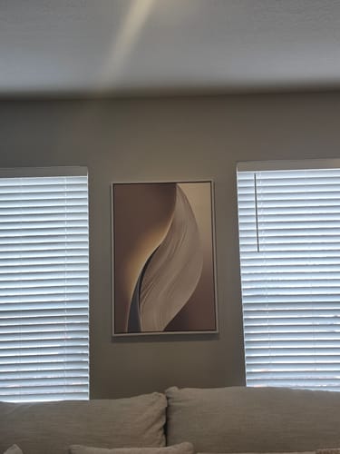Customer photo review of WHITE LIGHT CANVAS