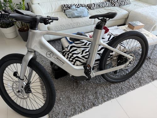 Customer photo review of Mercedes-AMG PETRONAS F1® Team City Edition 750 Electric Bike