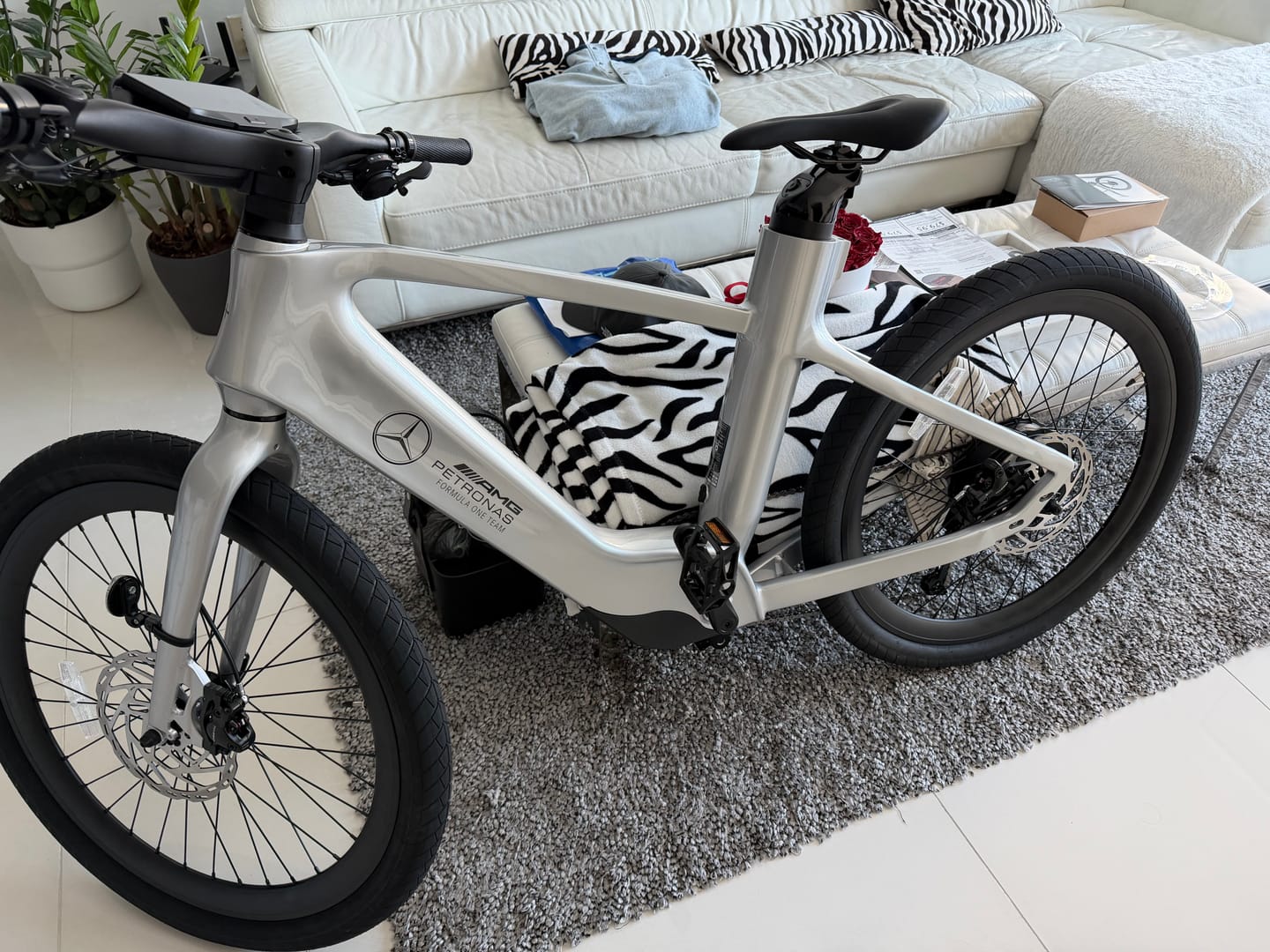Customer photo review of Mercedes-AMG PETRONAS F1® Team City Edition 750 Electric Bike