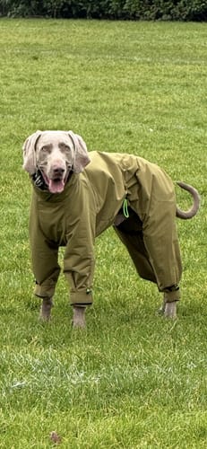 Customer photo review of ThermaLuxe - Fleece-Lined Trouser Suit Coat