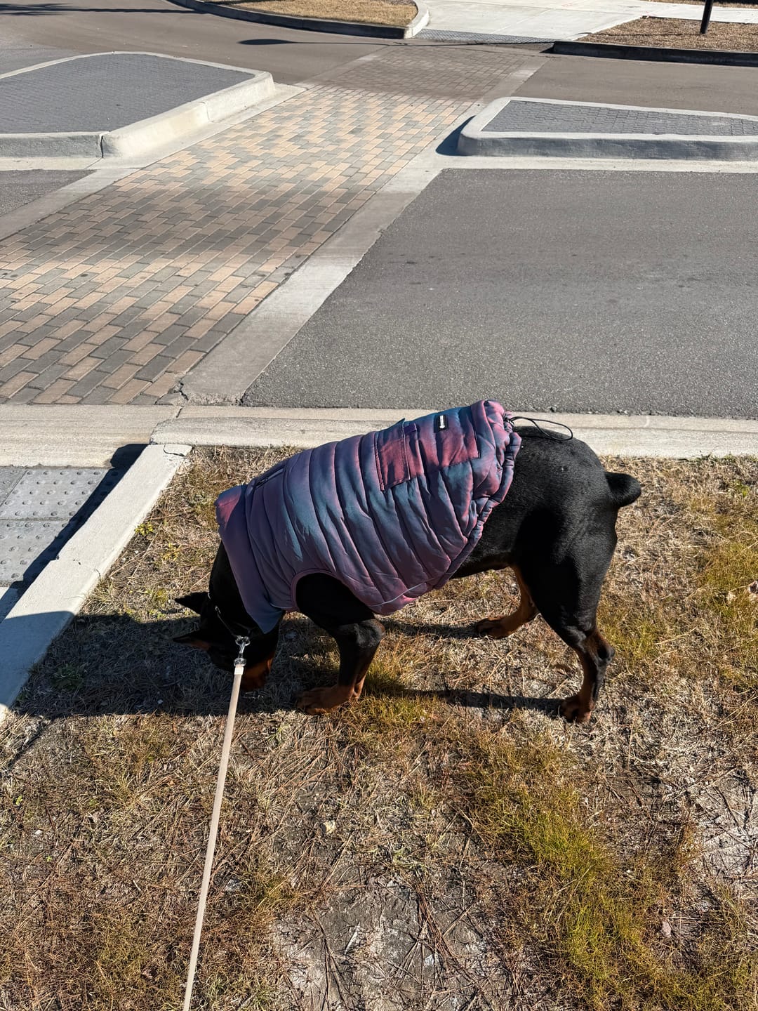 Customer photo review of WarmShield Water-Resistant Jacket - Cosmic