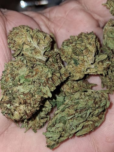 Customer photo review of THCA Queen