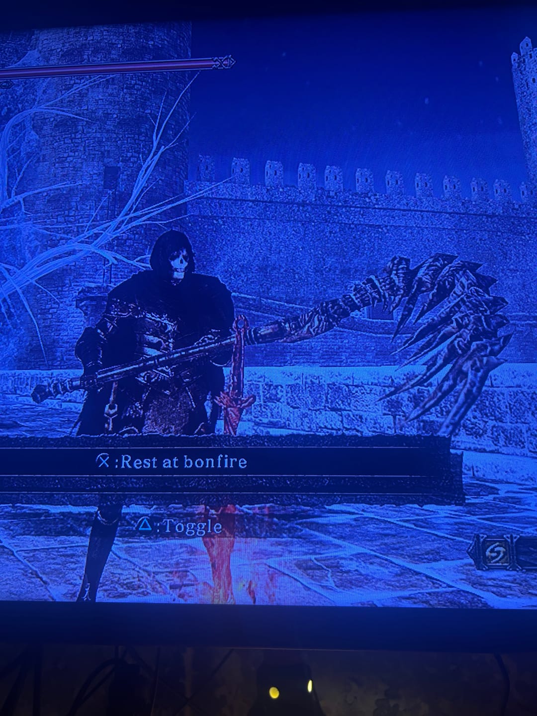 Customer photo review of Dark Souls 2 Items & Souls