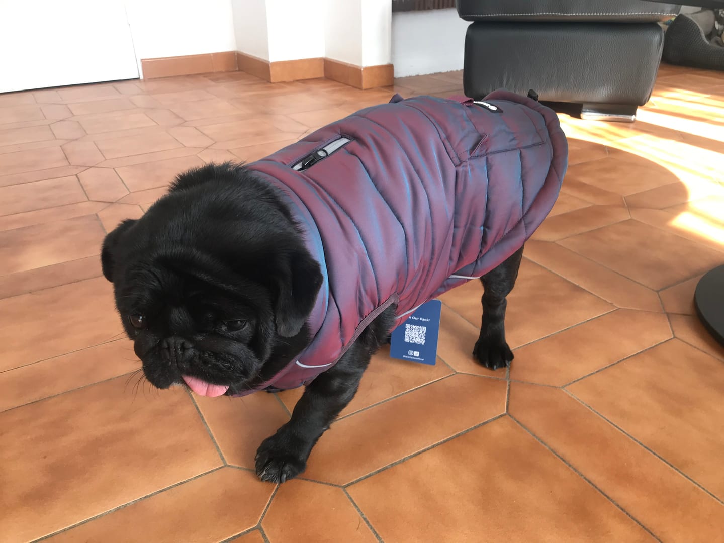 Customer photo review of WarmShield Water-Resistant Jacket - Cosmic