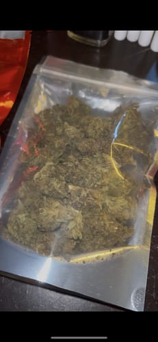 Customer photo review of THCA Queen