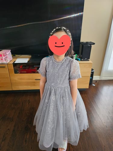 Customer photo review of Girls Sequin Embroidered Tulle Dress - Starlight Silver