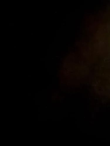 Customer photo review of Dreaver Elevate One