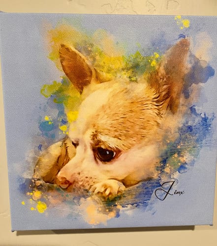 Customer's custom watercolor portrait of their dog, Jinx, on a canvas with rich blue and yellow splashes.