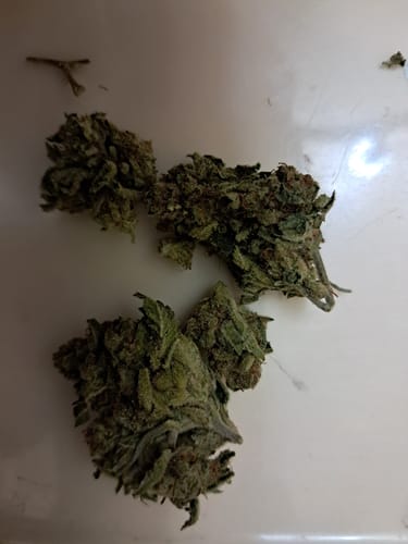 Customer photo review of THCA Queen