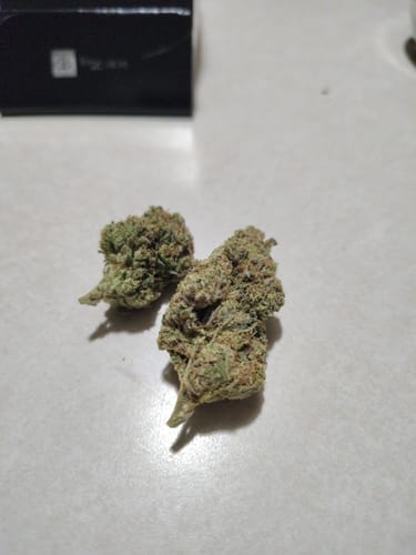 Customer photo review of Chocolate Diesel - 28 Grams - Hybrid