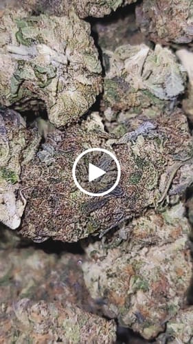 Customer video review of Cheap THCA Flower Half Pound