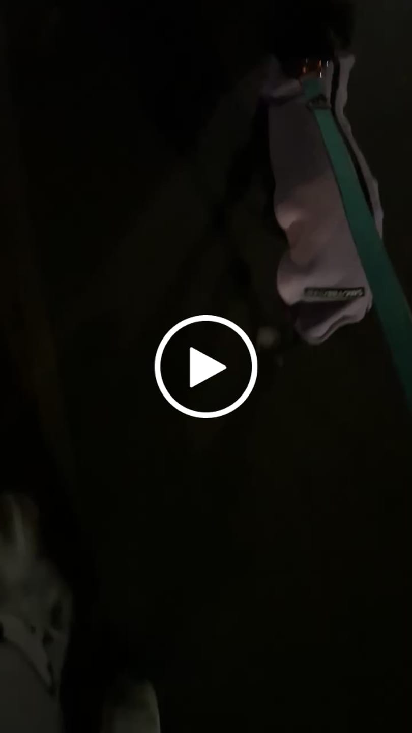 Customer video review of 1.4m Lighter Swivel Combat Lead | Anti-Tangle & Secure Clip - Turquoise x Orange