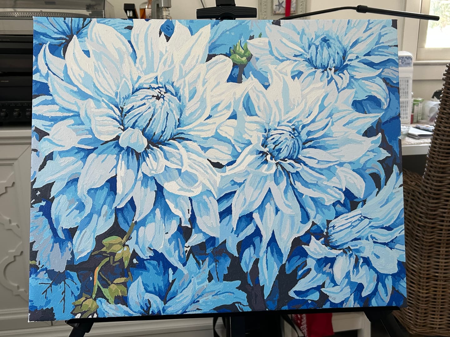 Customer photo review of Azure Chrysanthemums