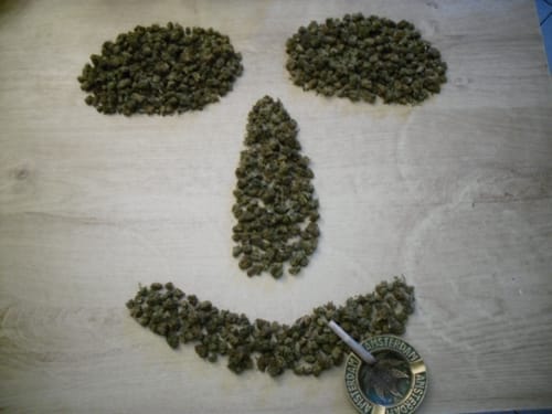 Customer photo review of Super Silver Haze Popcorn