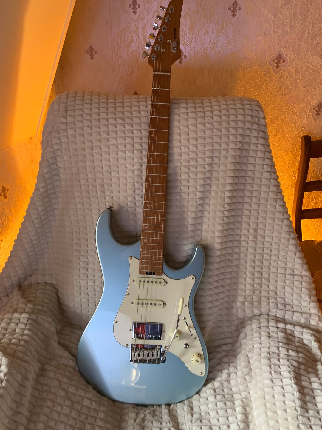 Customer photo review of Donner DST-550 Guitare Électrique
