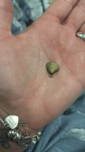 Customer photo review of EverGlow™ Bonsai