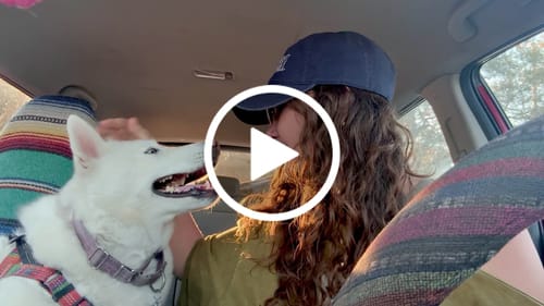 Customer video review of I Told The Priest I Would Chill Dad Hat