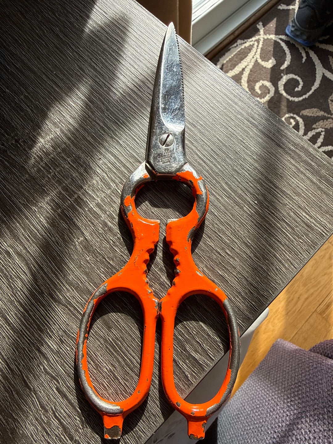Customer photo review of Wusthof Stainless Steel Shears - Red