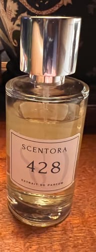 Customer photo review of 428 - inspired by layton