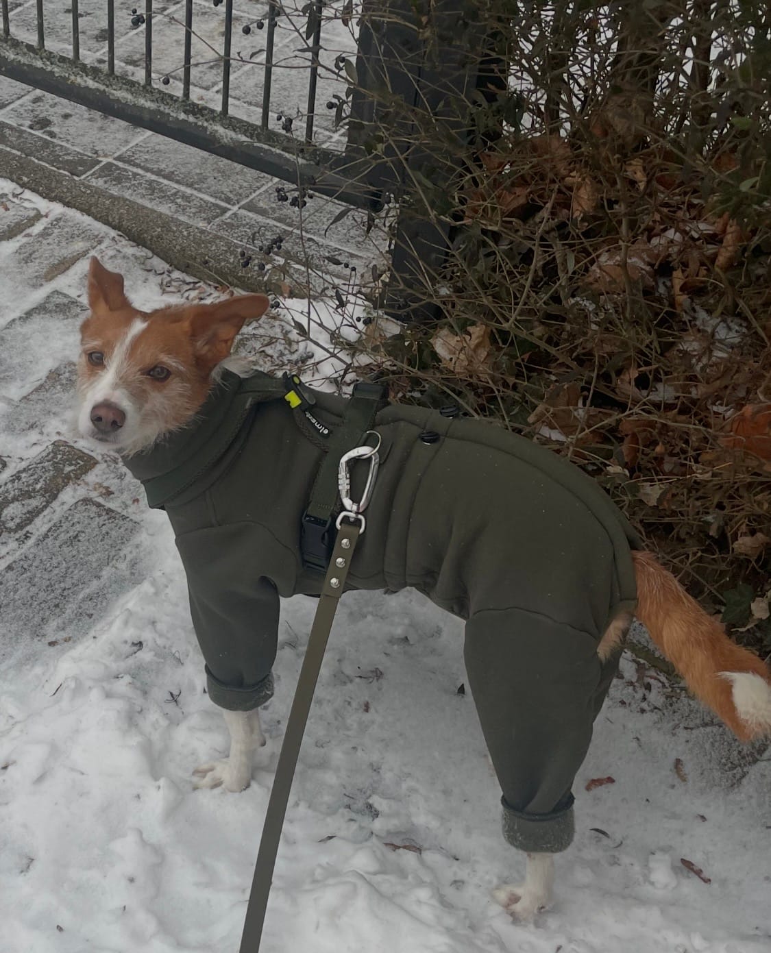 Customer photo review of Nuuk "Mountain Green"